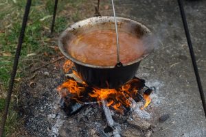 Papikaš od svežih pečurki