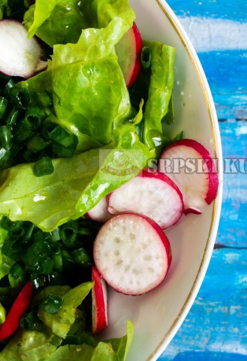 Zelena salata sa lukom i rotkvicama